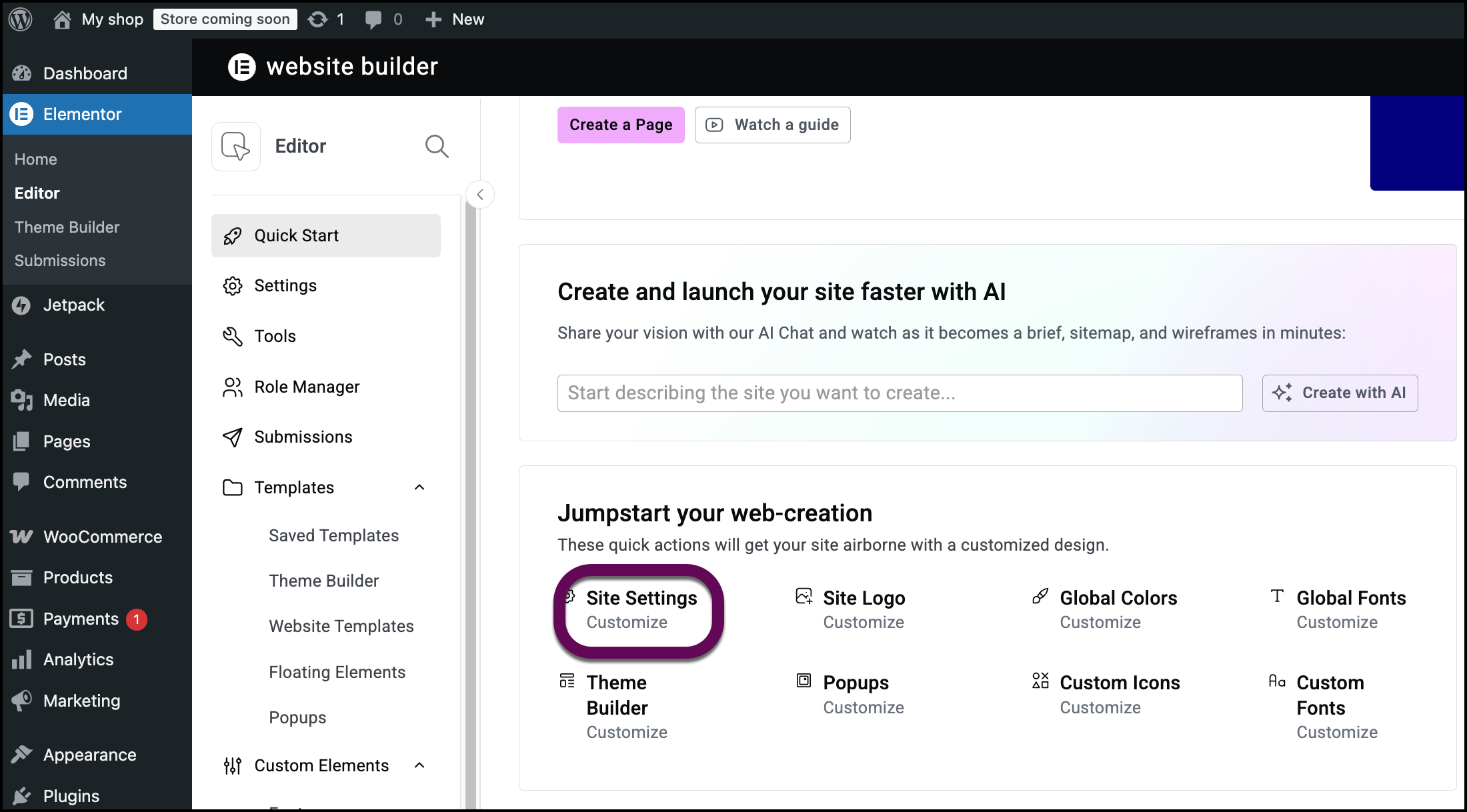The Customize button