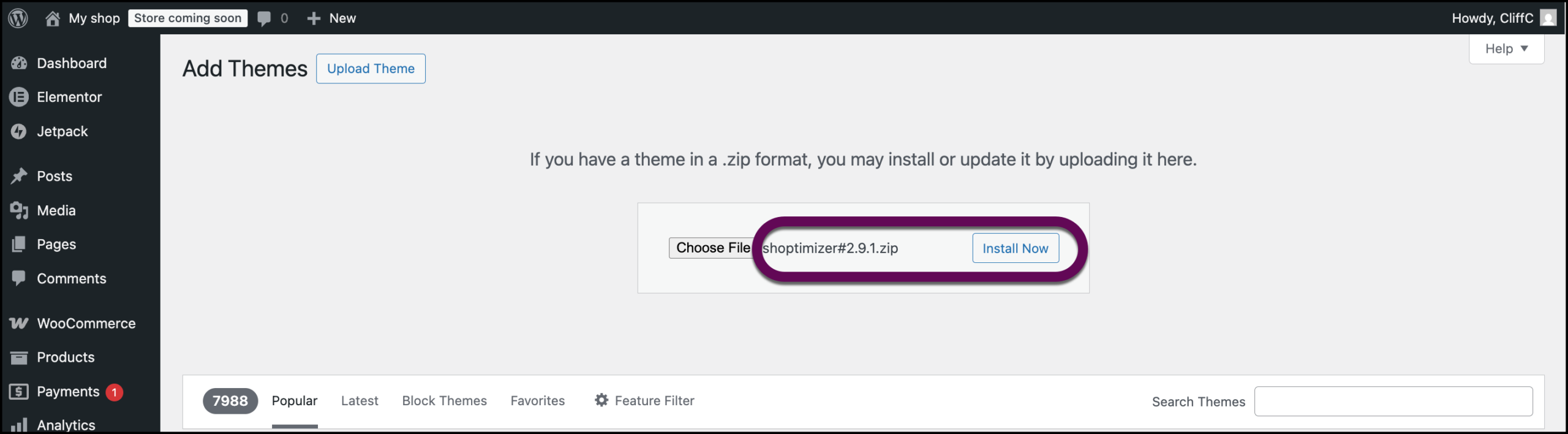 The Install Now button