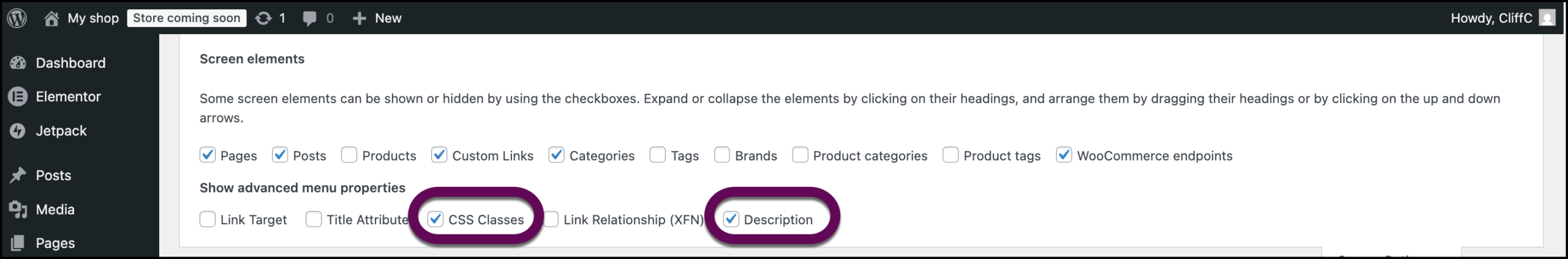 Tick CSS Classes and Description