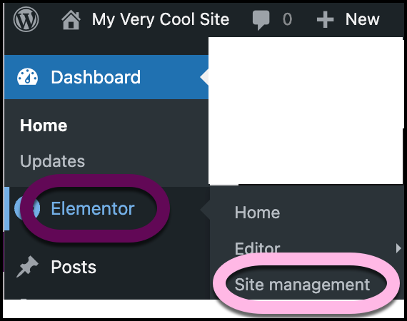 The Site Management section of WP Admin 