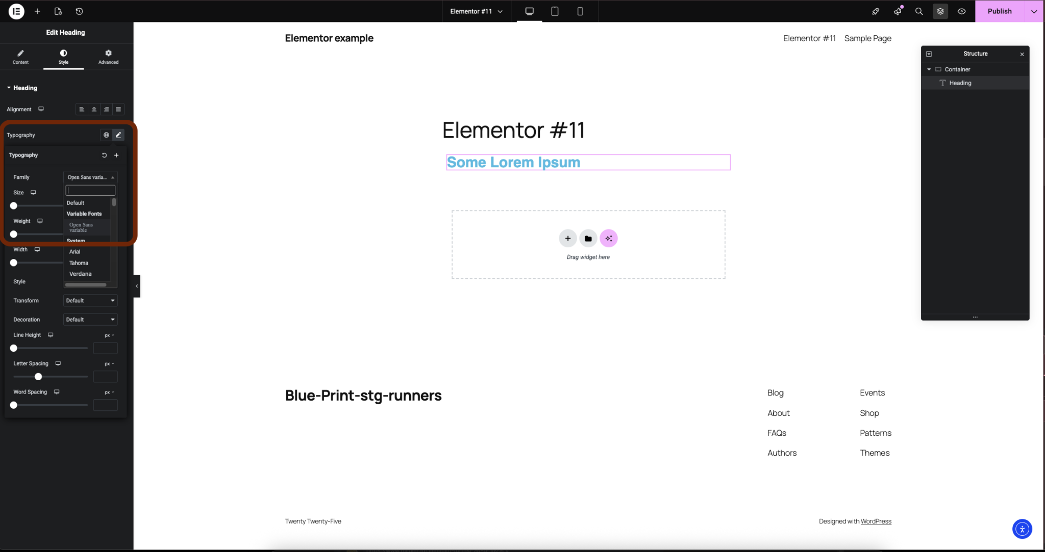 Elementor Variable Icon Use Variable Fonts | Elementor