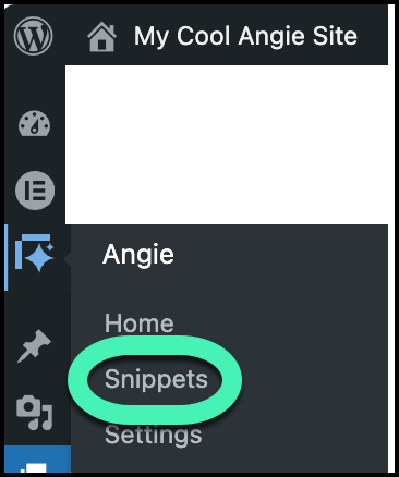 In WP Admin, go to Angie and then Snippets