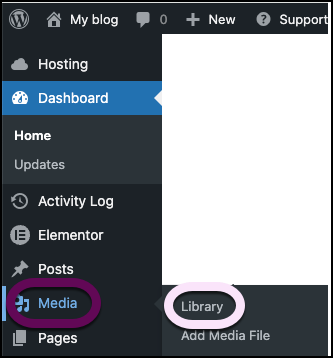 Choose Media then Library