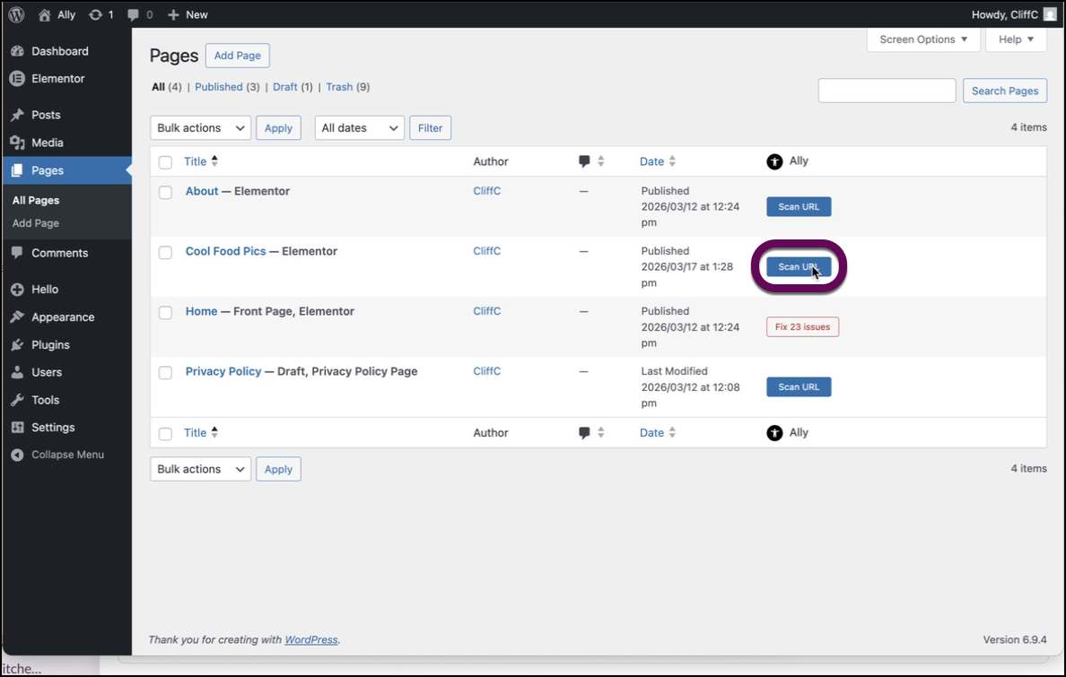 The Scan URL button starts scanning the page for accessibility issues.