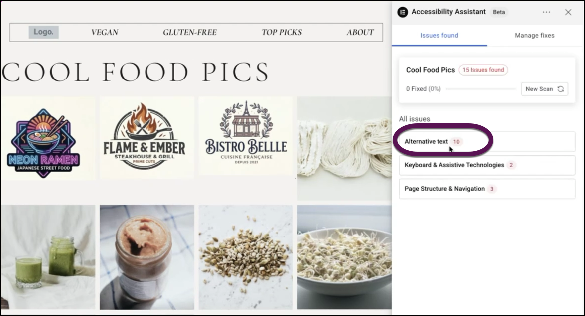The Alternative Text box shows you issues connected the image's alternative text.