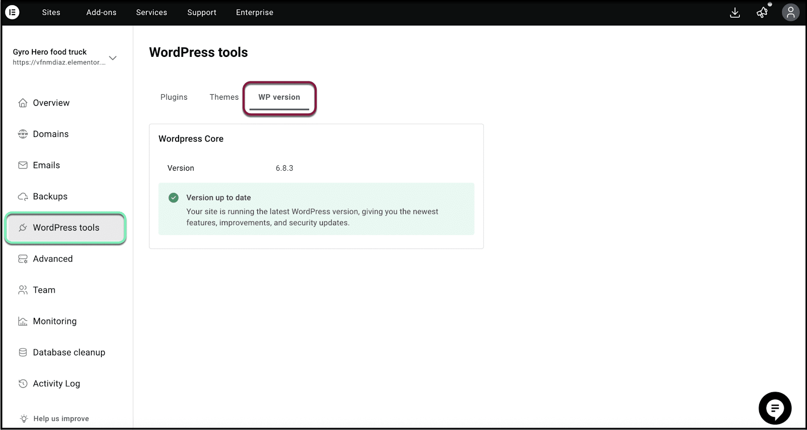 The WP version tab lets you update your WordPress version