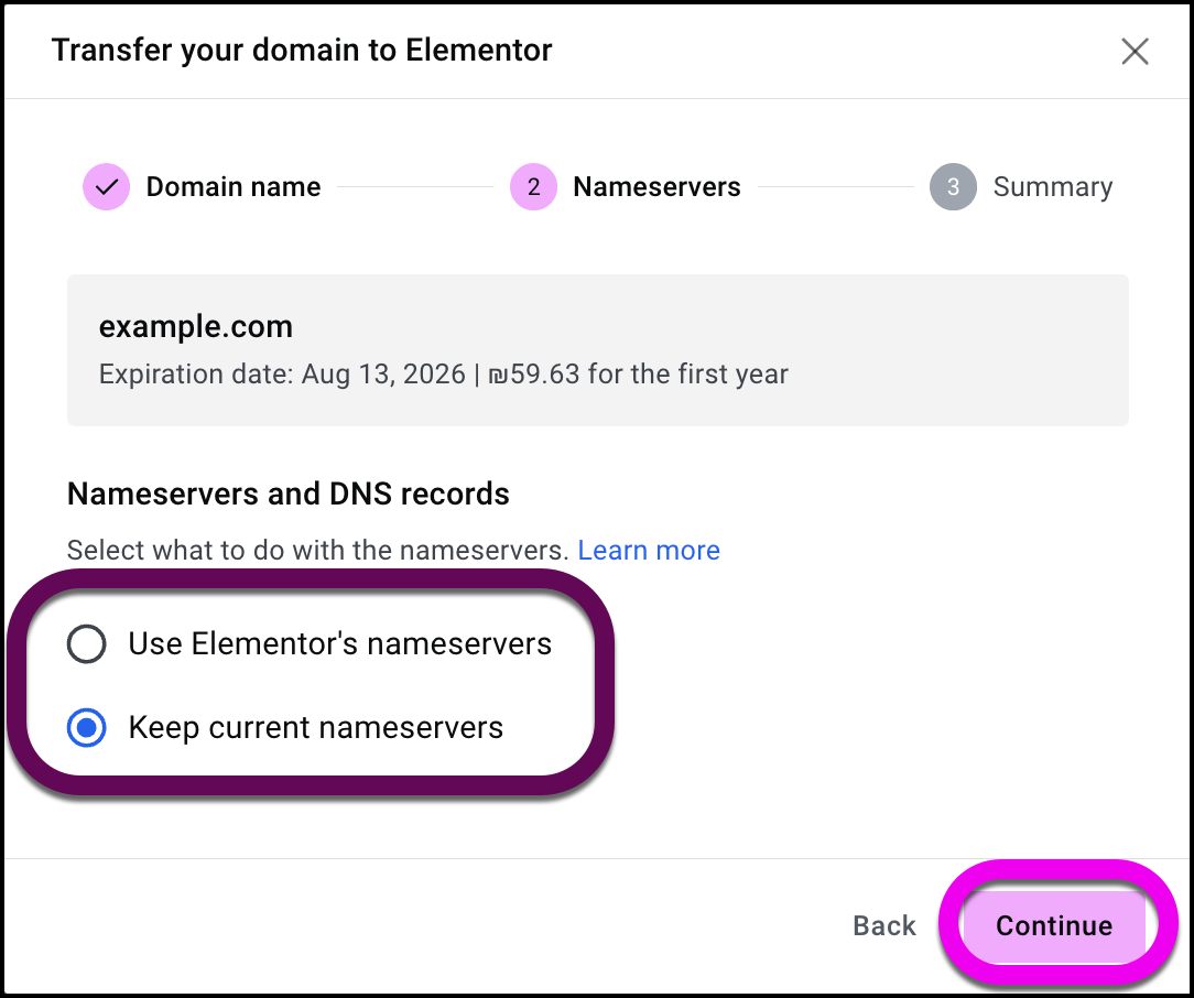 Select either Elementor or a third party nameserver