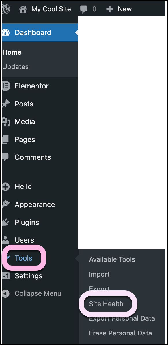 Clicl Tools then Site Health