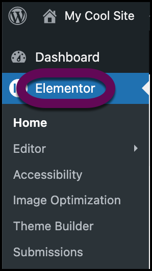 Click Elementor Home to access the Tool Manager