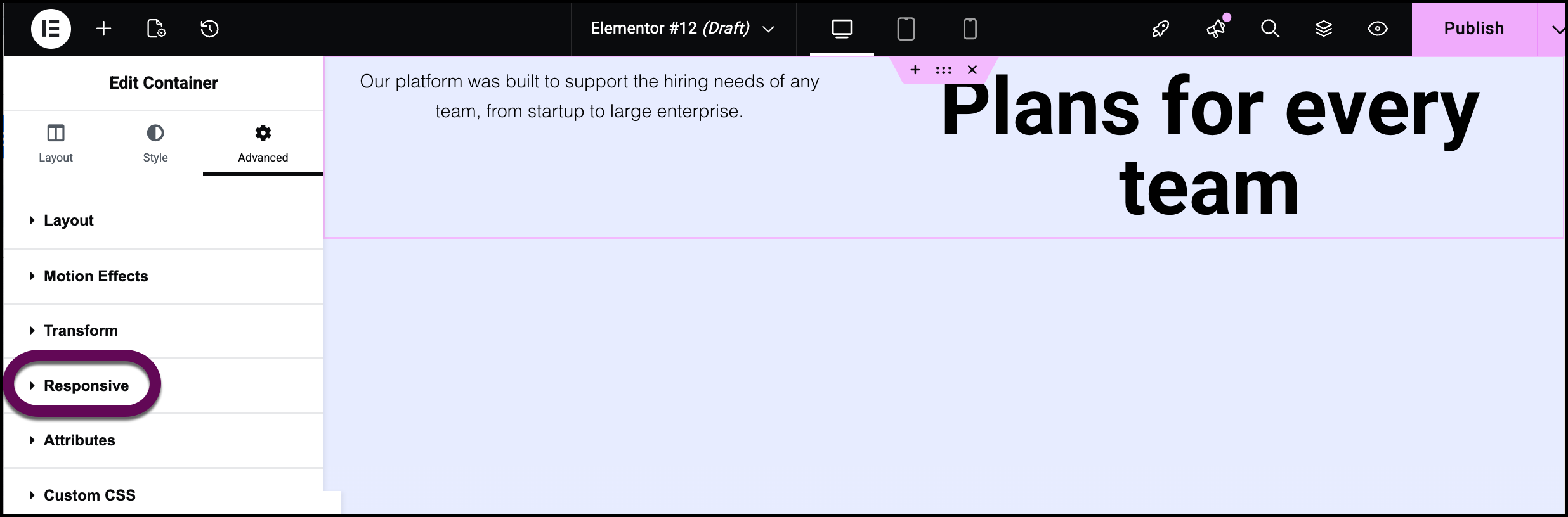 Open the responsive section