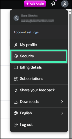 My Elementor Dashboard showing Security settings
