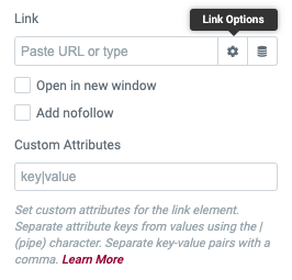link options