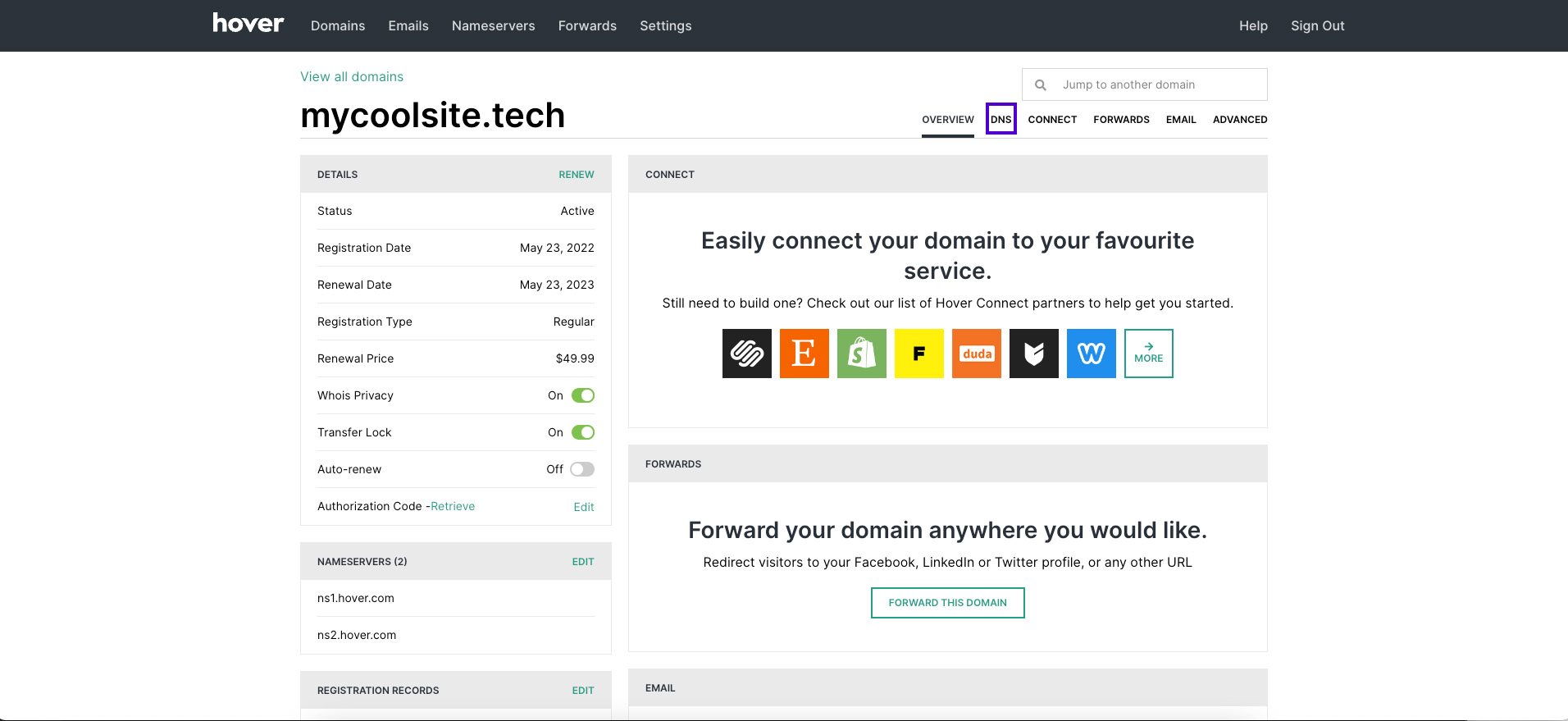 Screenshot of Hover domain details and the DNS tab highlighted.