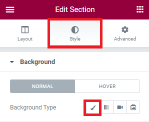 They Style tab of the Edit Section menu.