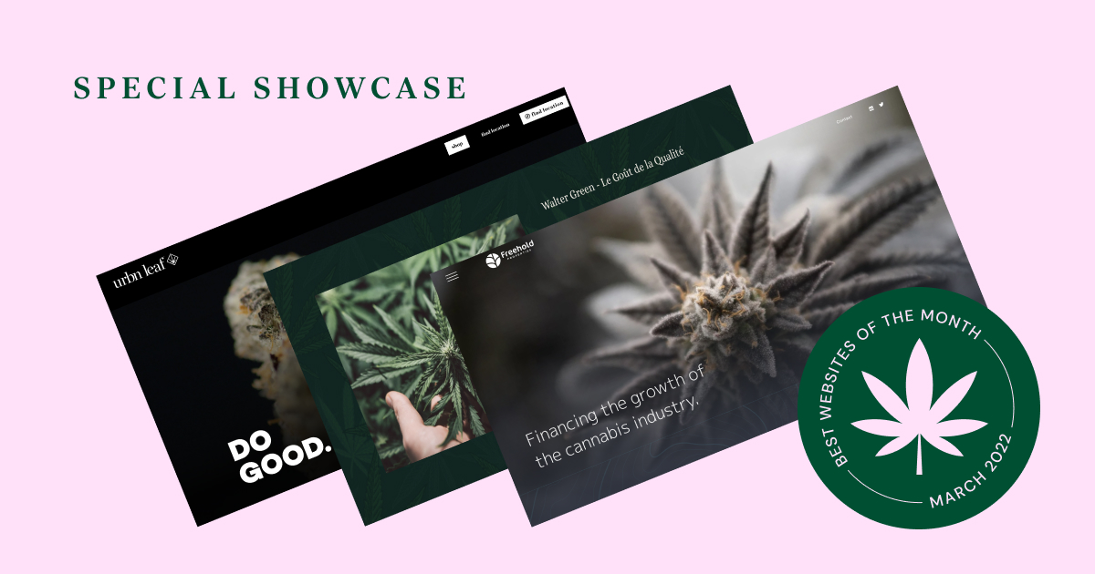 6 Best Cannabis Website Design Examples for 2022 » Elementor