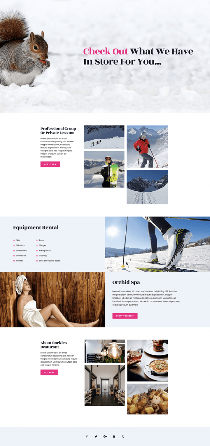 Ski - services