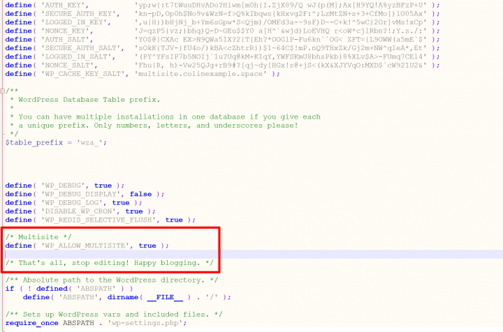 allow-multisite allow-multisite