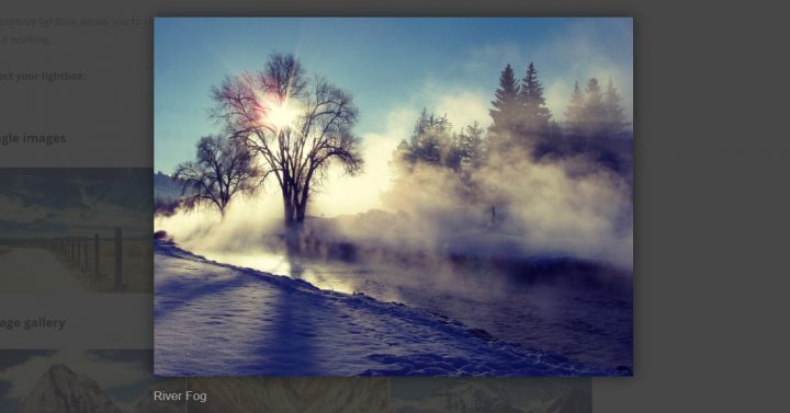 image6 image6