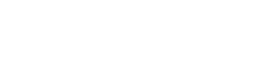 tailor brands Small & Medium Business Owner 2021 46