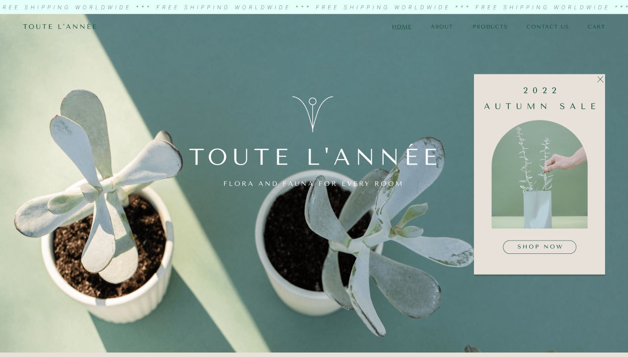 3124 gallery 09 1 The Most Popular Themes For WordPress 29