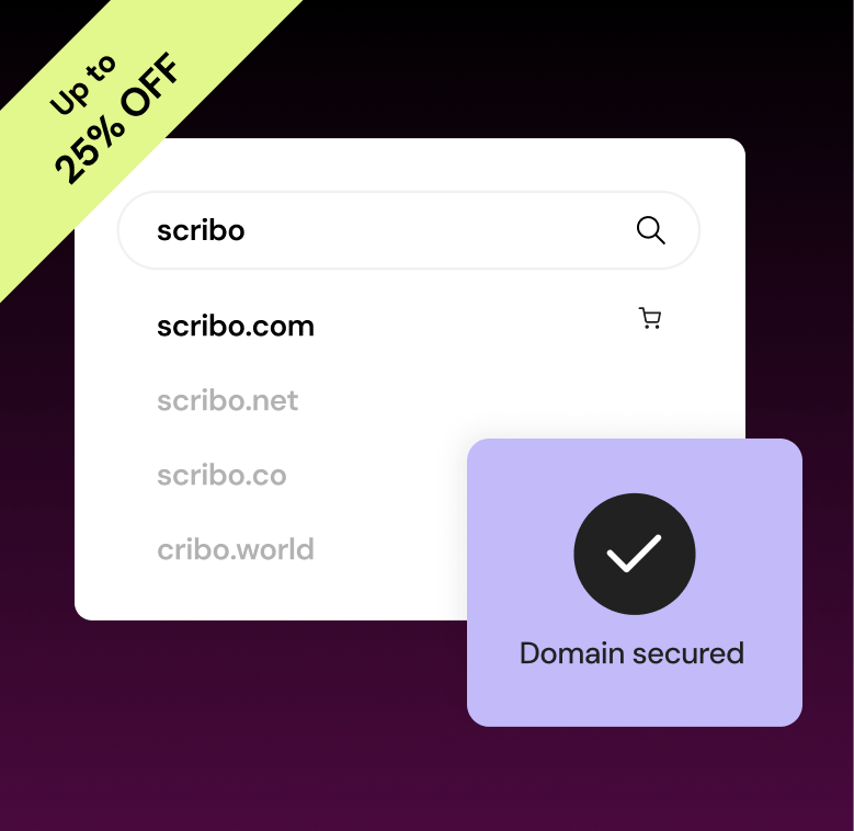 06 Domains BFCM TOF 1 BCFM 2025 | Promotions 19